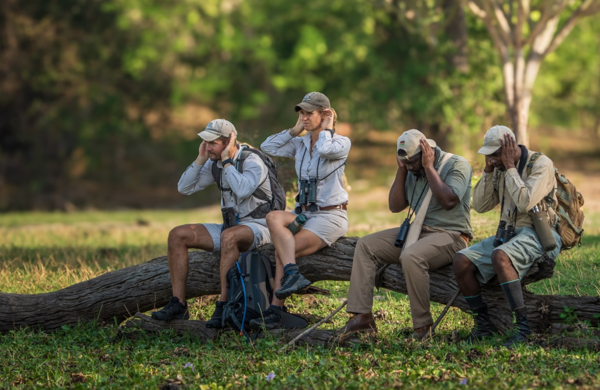Photographer-friendly safari camps Tanzania